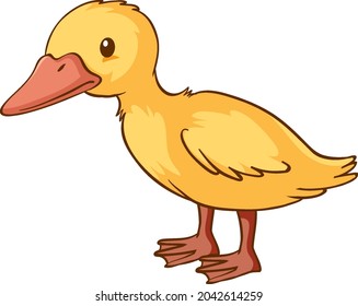 Little duck cartoon on white background illustration