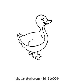 Little duck children vector illustration