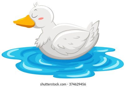 Little duck floating on water illustration