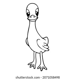 little duck line vector illustration,isolated on white background,top view