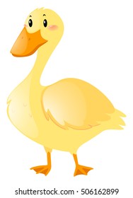 Little duck on white background illustration