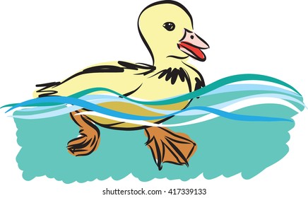 little duck swimming illustration