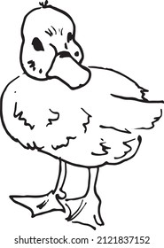 Little duck vector hand drawn
