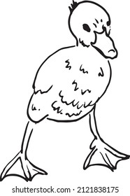 Little duck vector hand drawn
