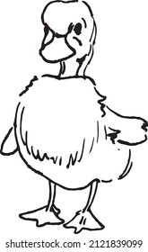 Little duck vector hand drawn
