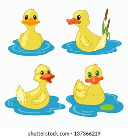Little ducks on the lake