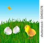 Little easter chick on the grass