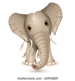 Little elephant isolated on white