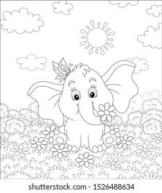 Little elephant playing with a funny butterfly on grass among flowers on a sunny summer day, black and white vector illustration in a cartoon style for a coloring book