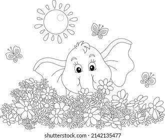 Little elephant playing with merry butterflies among flowers on a sunny summer day, black and white vector cartoon illustration for a coloring book page