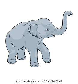 Little Elephant - vector illustration