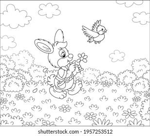 Little enamored bunny guessing on a daisy and walking on grass of a pretty summer field with flowers on a beautiful warm day, black and white outline vector cartoon for a coloring book page