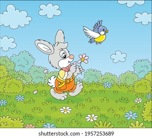 Little enamored bunny guessing on a daisy and walking on green grass of a pretty summer field with flowers on a beautiful warm day, vector cartoon illustration