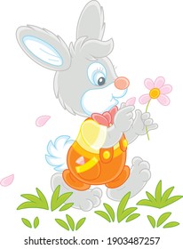 Little enamored bunny walking on green grass and guessing on a daisy, vector cartoon illustration isolated on a white background