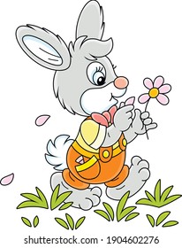 Little enamored bunny walking on green grass and guessing on a daisy, vector cartoon illustration isolated on a white background