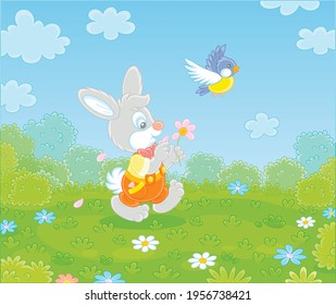 Little enamored bunny walking on green grass and guessing on a daisy, vector cartoon illustration