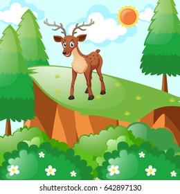 Little fawn standing on cliff illustration