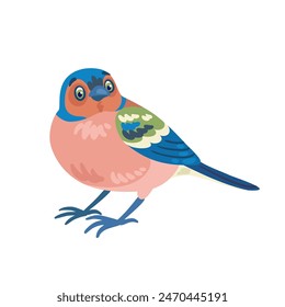 Little finch bird sits. In cartoon style. Isolated on white background. Vector flat illustration.