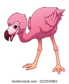 Little Flamingo Cartoon Animal Illustration