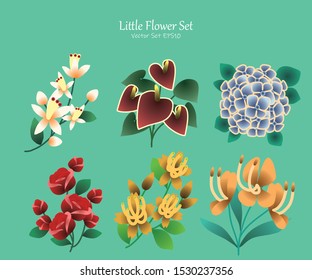 Little Flower Package, Vector illustration design element