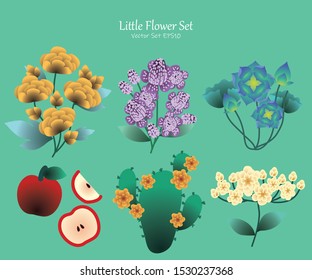 Little Flower Package, Vector illustration design element