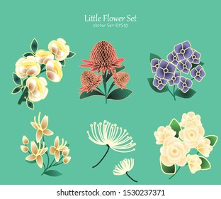 Little Flower Package, Vector illustration design element
