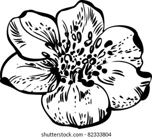 little flower sketch
