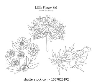 Little Flower Vector File EPS10 Package Set, Vector illustration design element