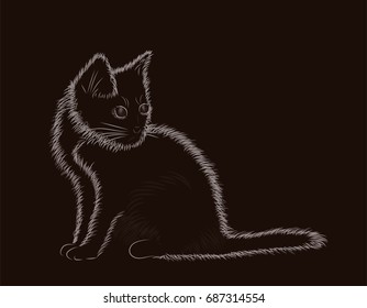 Little fluffy cat black and white, vector illustration