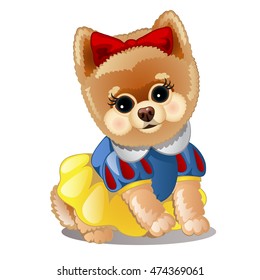 Little fluffy dog in clothes. Vector illustration.
