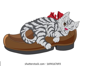 Pequeño y esponjoso gato de cebra con corbata dormido en un zapato. Vector