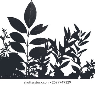 A little forest vector image