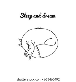 The little fox cute sleeps and dreams.