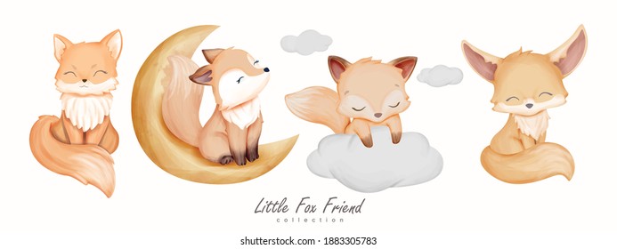 Little Fox Friend Animal Collection