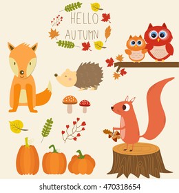 The little fox ,pumpkins,owls,squirrel,hedgehog,mushroom with hello autumn background vector.illustration EPS 10.