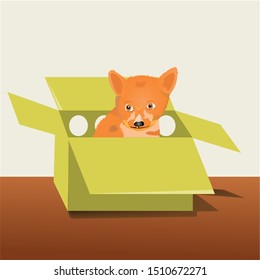 Little fox sitting in a cardboard box. Vector illustration of a cute animal.