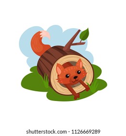 Little fox sitting inside felled tree vector Illustration on a white background