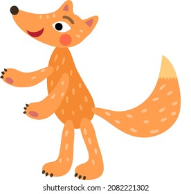 little fox walks and smiles.