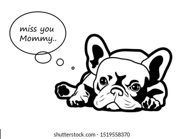 A little French Bulldog puppy is missing his mommy. A Frenchie lies down in the background with the text balloon, you can fill your text on this.