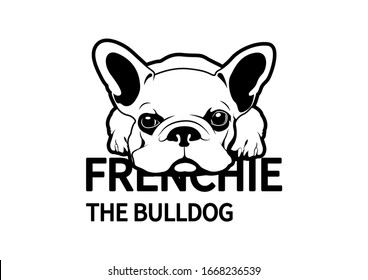 Little Frenchie lay down on the floor and waiting for something, designing with flat color style black & White tone. Good use for sticker.