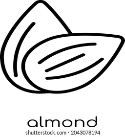little fresh almond vector illustration