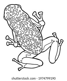 Little frog. Spotted poison dart frog. Coloring page. Black outline. 