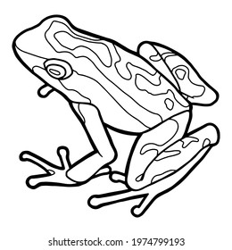 Little frog. Spotted poison dart frog. Coloring page. Black outline. 