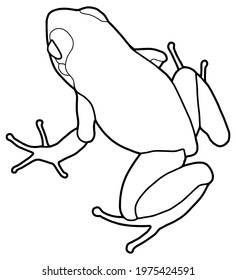 Little frog. Spotted poison dart frog. Coloring page. Black outline. 