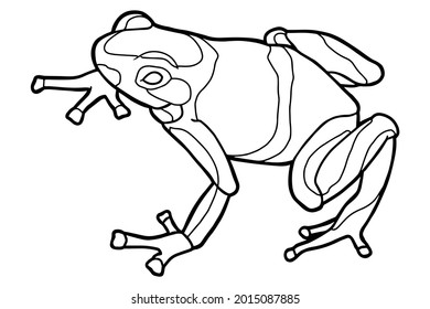 388 Poison dart frog vector Images, Stock Photos & Vectors | Shutterstock