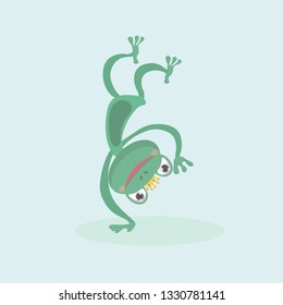 Little frog. Vector illustration of a cute little frog.