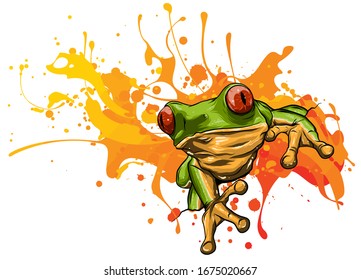 Little frog  Vector illustration cute little frog 