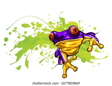 Little frog. Vector illustration of a cute little frog.