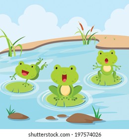 Little frogs in the pond. Cute little frogs having fun in the pond.