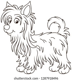 Little funny Australian silky terrier with long hair, black and white vector illustrations in a cartoon style for a coloring book